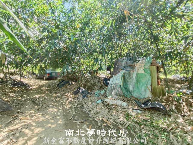 左鎮農地-4