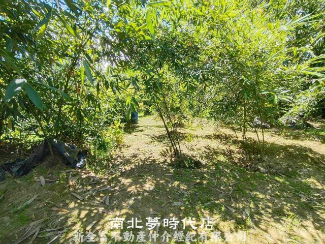 左鎮農地-6