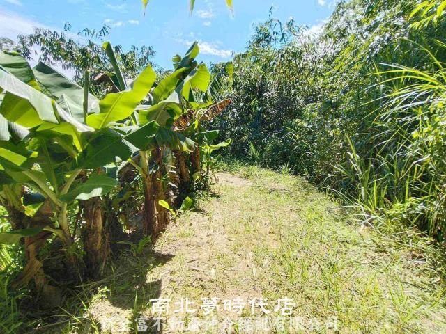 左鎮農地-8
