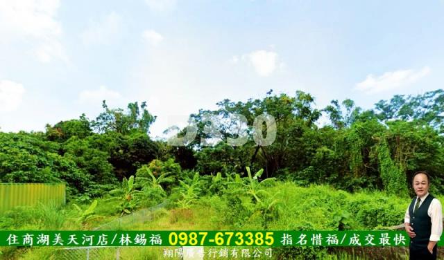 仁德農地-4