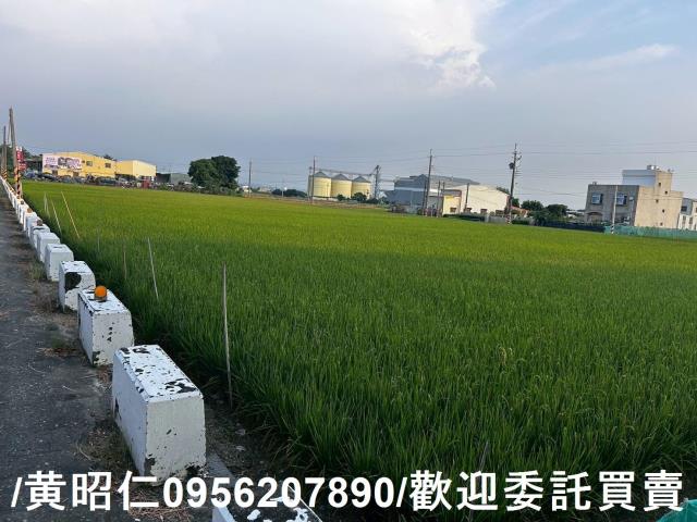 六甲農地-3
