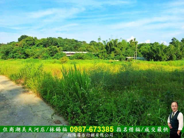 歸仁農地-10