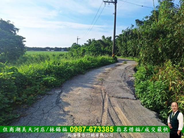 歸仁農地-12