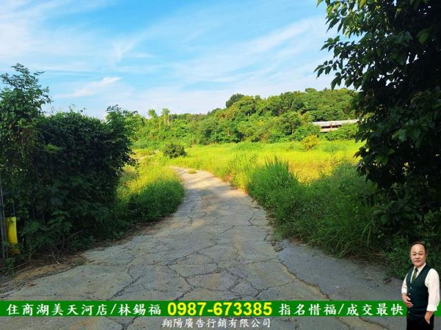 歸仁農地-2