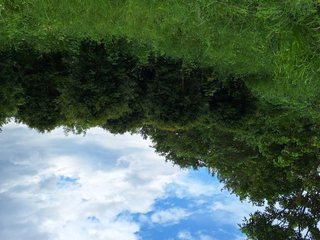 左鎮農地-3
