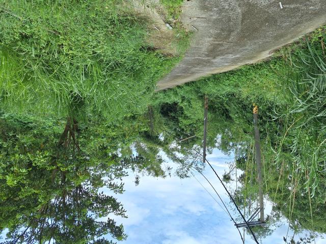 左鎮農地-4