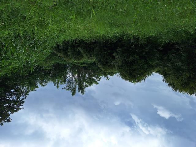 左鎮農地-6