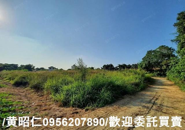 台南大內農地-4