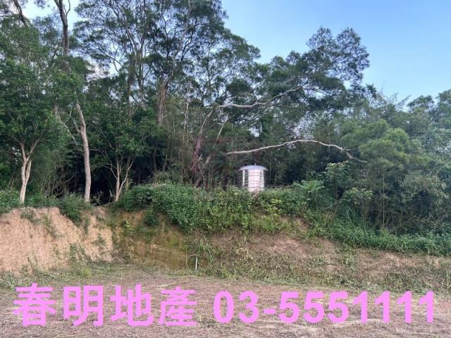 新竹峨眉農地-6