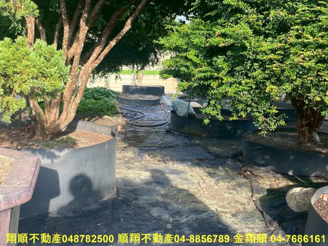 彰化秀水農地-10