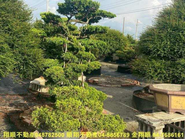 彰化秀水農地-13