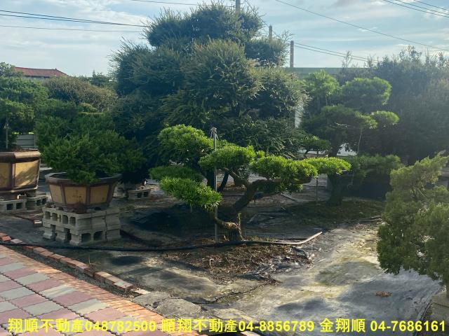 彰化秀水農地-14