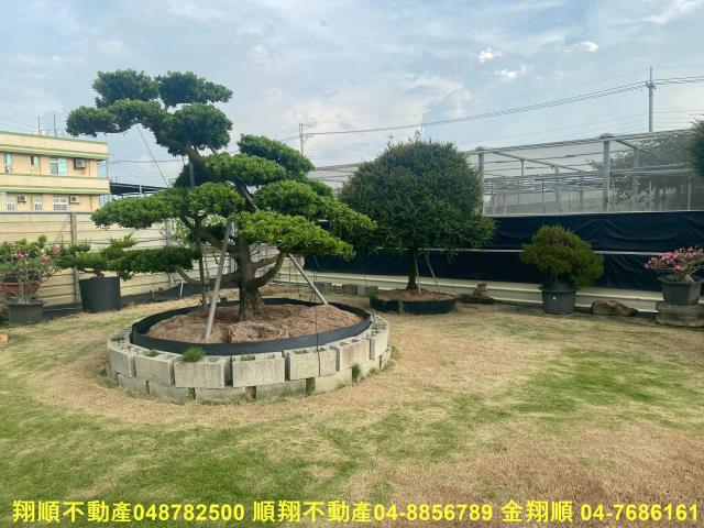 彰化秀水農地-15