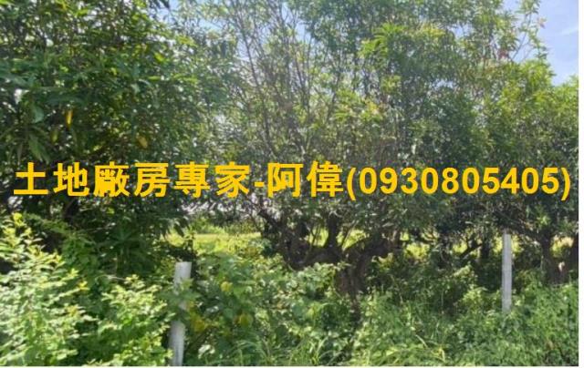 高雄岡山農地-1