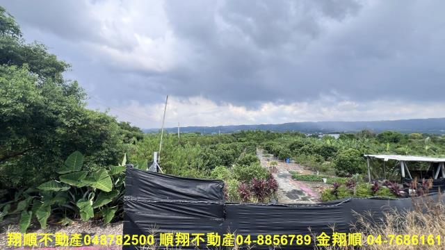 員林農地-4