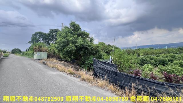 員林農地-5