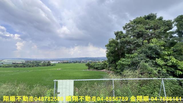 員林農地-6