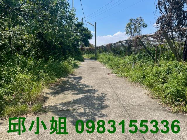 竹崎農地-1