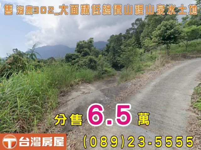 台東成功農地-1