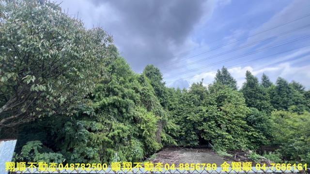 彰化社頭農地-1