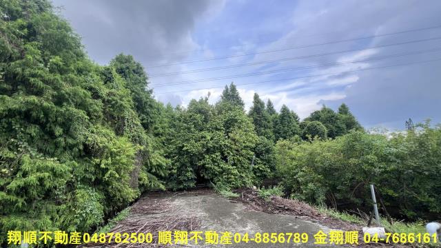彰化社頭農地-2