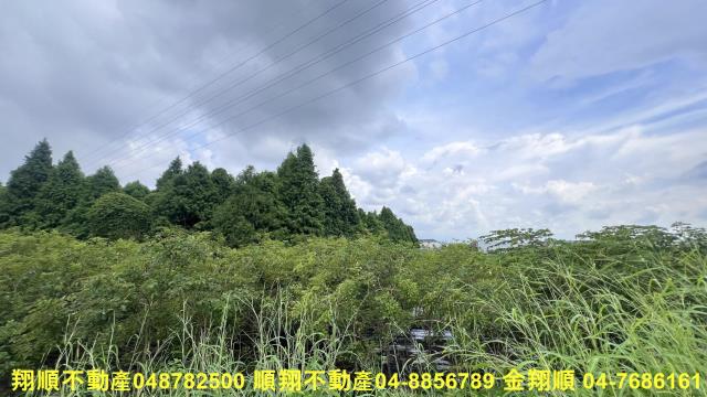 彰化社頭農地-4