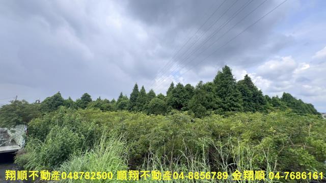 彰化社頭農地-5