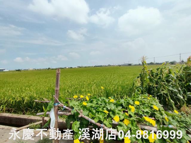 彰化埔鹽農地-15