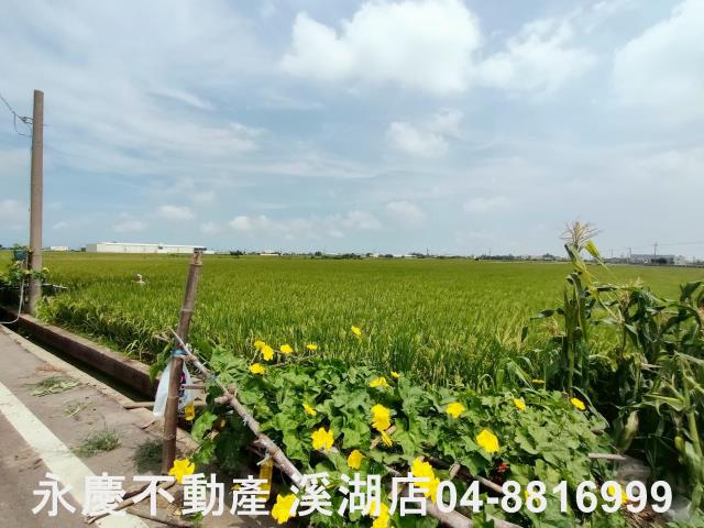 彰化埔鹽農地-1