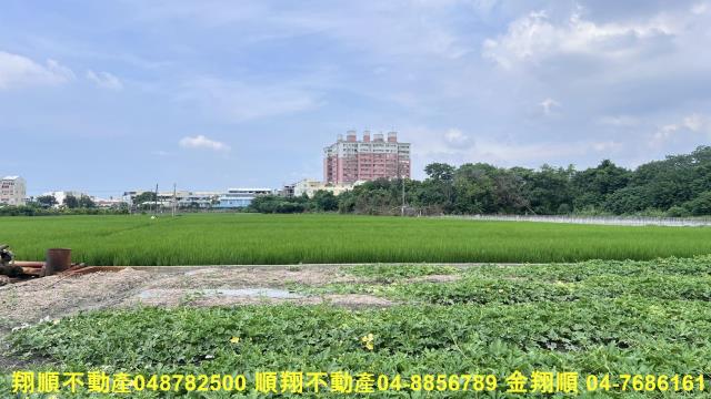 彰化北斗農地-1