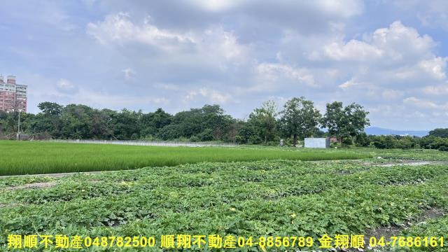 彰化北斗農地-2