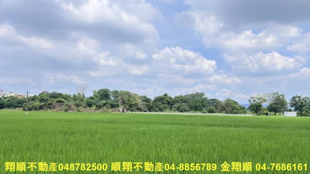 彰化北斗農地-4