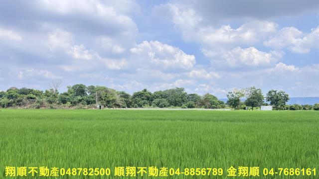 彰化北斗農地-5