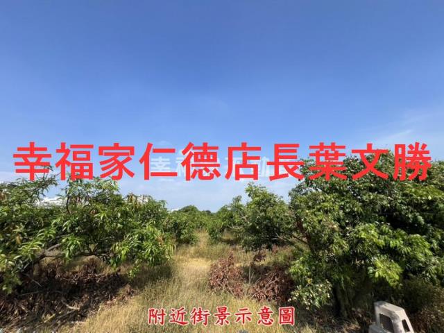 仁德農地-9