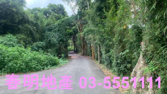 新竹關西農地-1