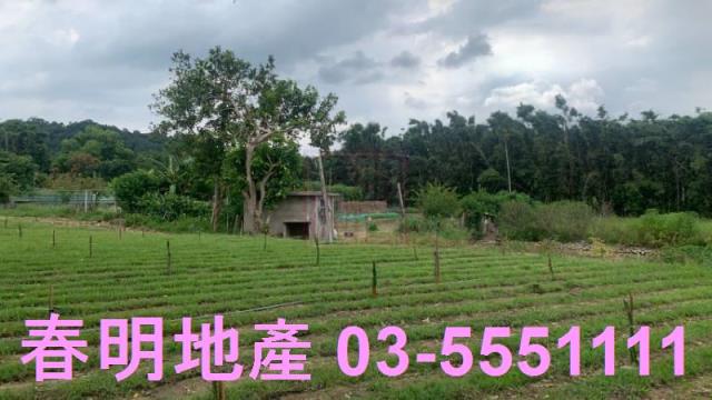 新竹關西農地-2