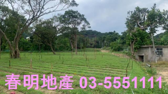 新竹關西農地-3