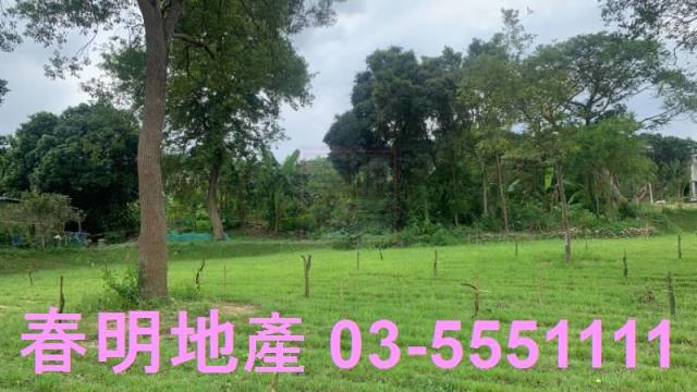 新竹關西農地-5
