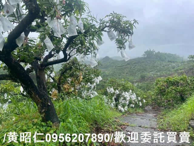 台南玉井農地-4