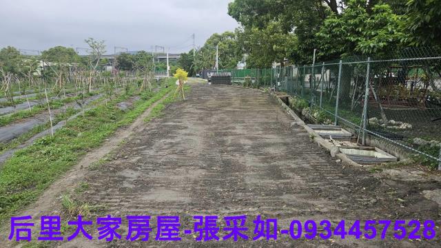 台中后里農地-2