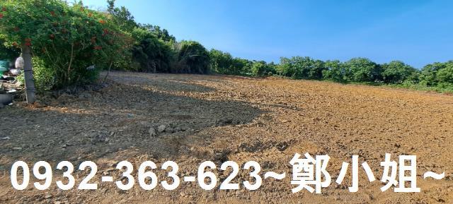 八德農地-6