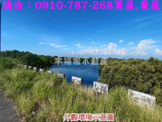 台南農地-11