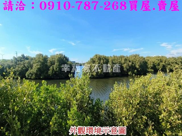 台南農地-3