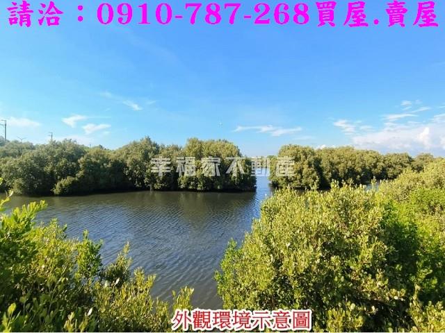 台南農地-4