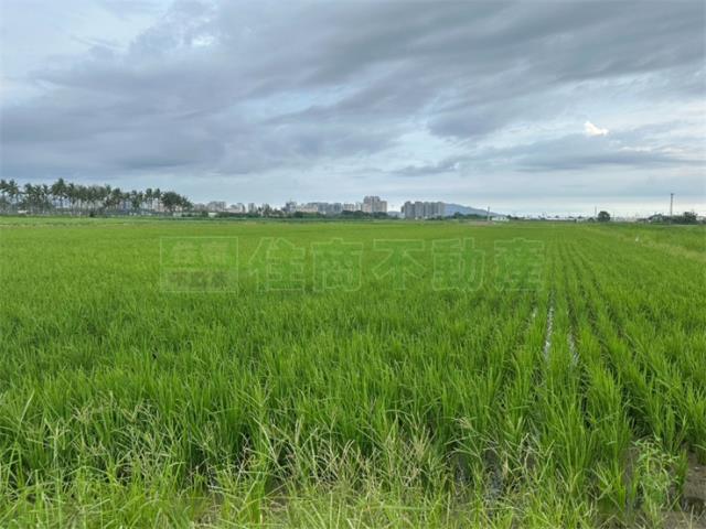 高雄橋頭農地-6