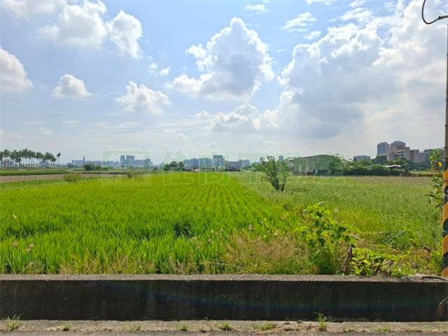 高雄橋頭農地-9