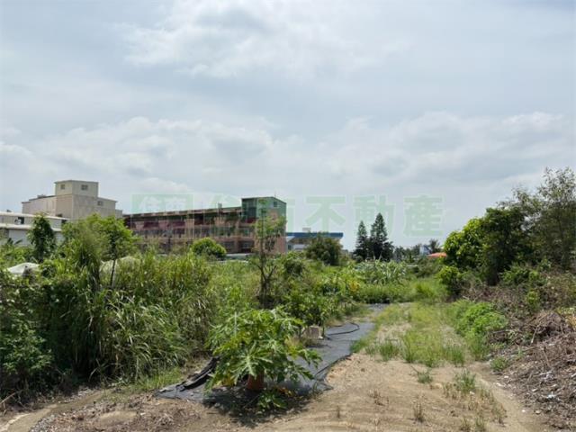 高雄鳥松農地-13