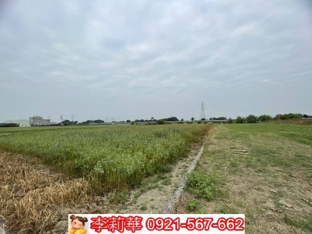 台南永康農地-6