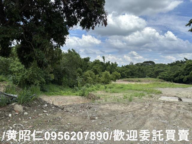 台南關廟農地-8