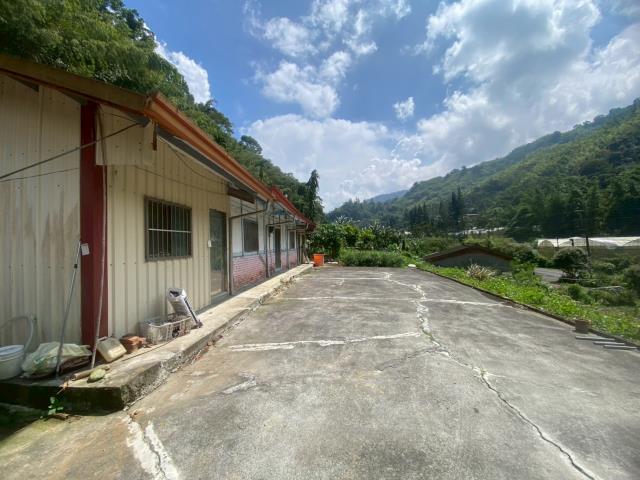 鹿谷農地-3